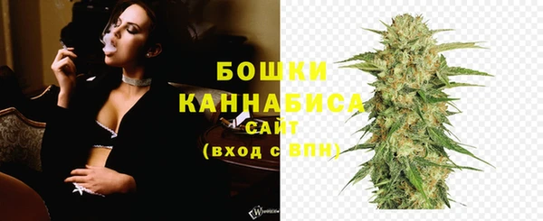 бошки Гусиноозёрск