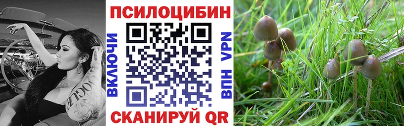 blacksprut зеркало  Ак-Довурак  Псилоцибиновые грибы прущие грибы 